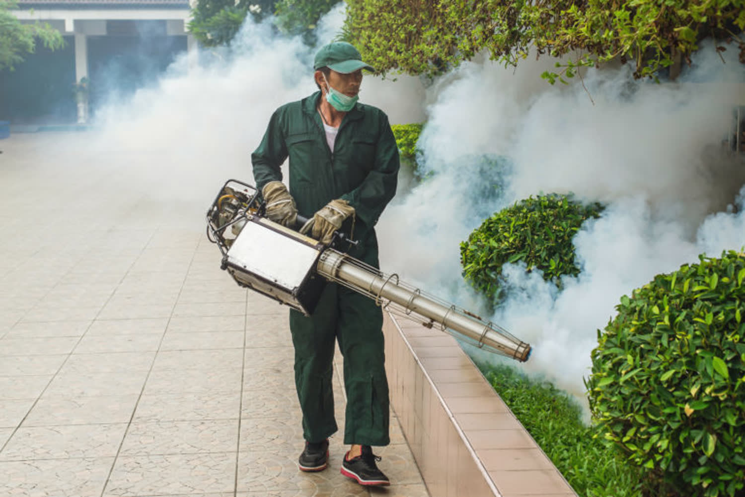An AJ Southwest technician fogging a landscaped garden