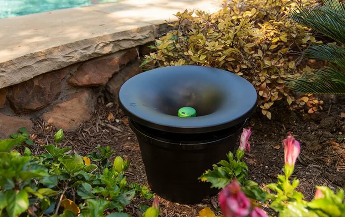A biological mosquito control station set in a planted bed