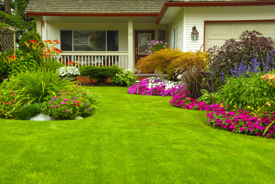 Planted beds along a home
