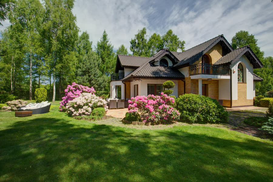 Flowering shrubs beside a home